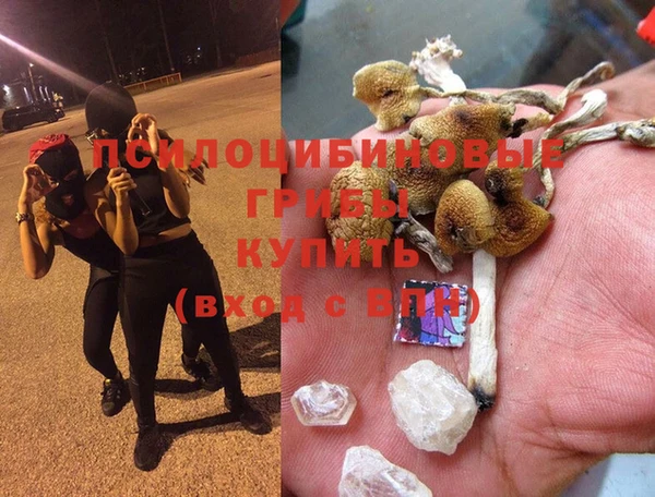 ешки Михайловск