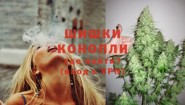ГАЛЛЮЦИНОГЕННЫЕ ГРИБЫ Михайловка
