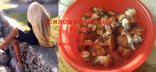 a pvp Михайлов