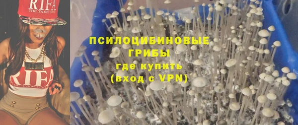 ГАЛЛЮЦИНОГЕННЫЕ ГРИБЫ Михайловка