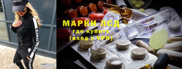 гашик Пестово