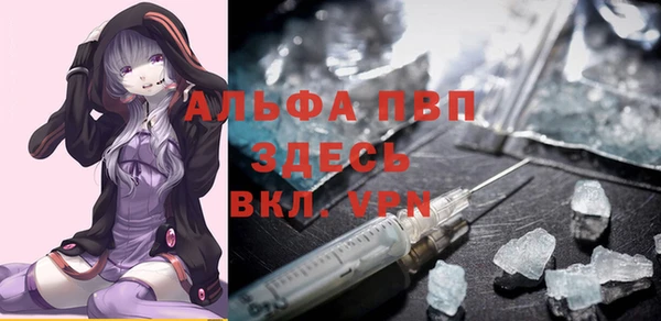 индика Медвежьегорск