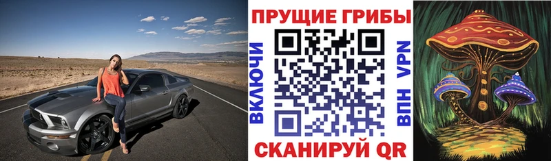 Псилоцибиновые грибы прущие грибы  Нолинск 